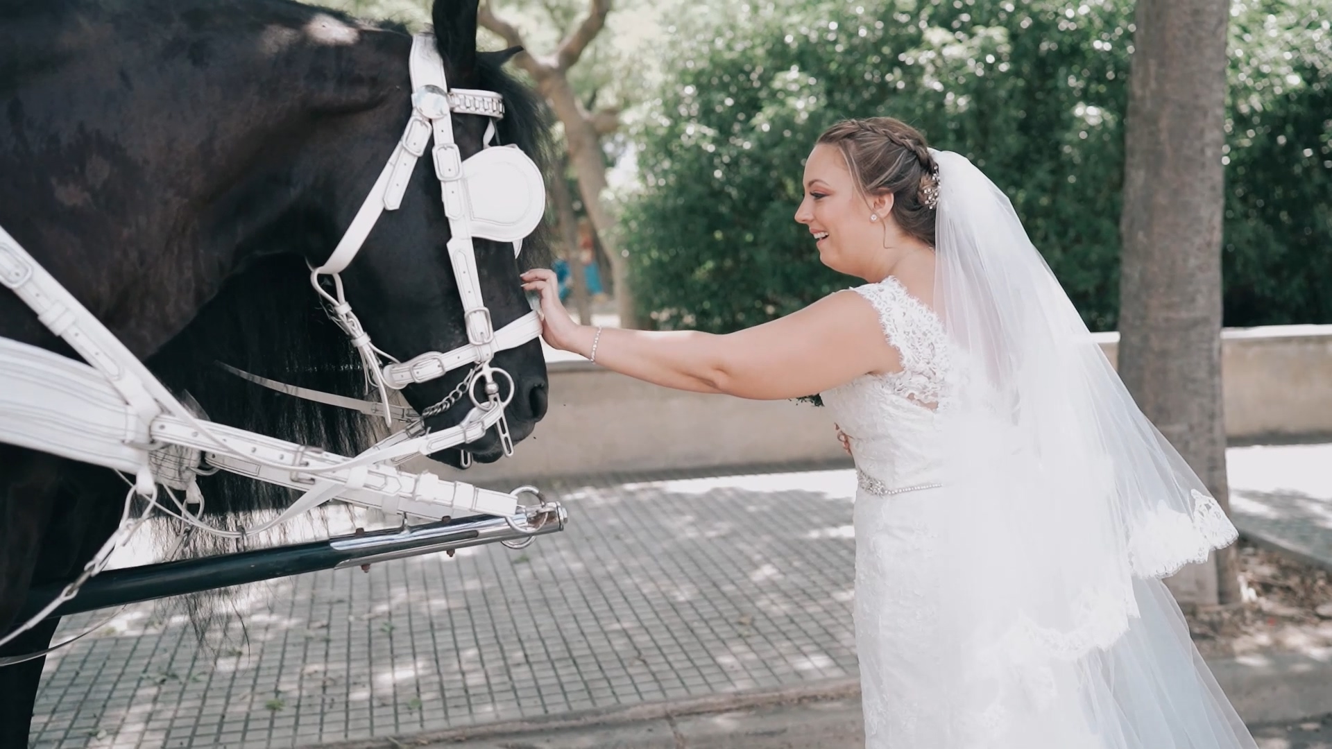 Sorpresas En La Boda Luzdeflash 